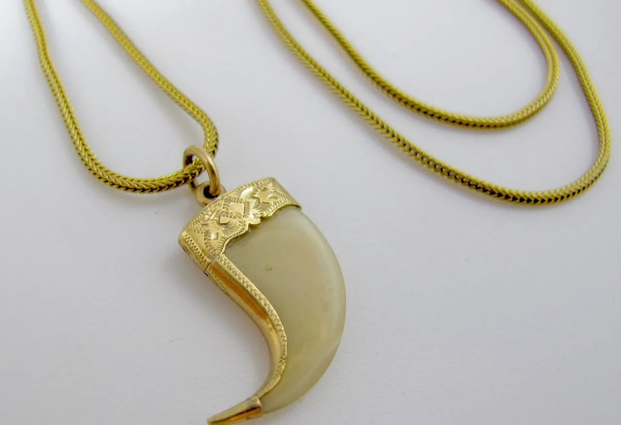 Tiger claw pendant.jpg