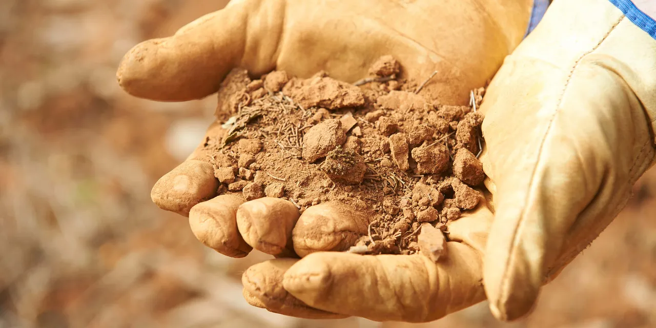 Soil.jpg