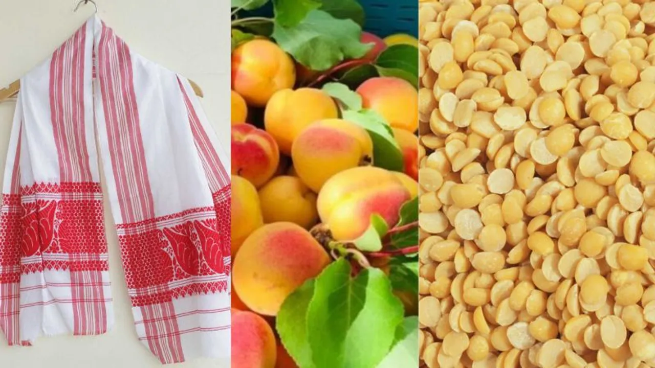 Gamosa Apricot Redgram GI Tag
