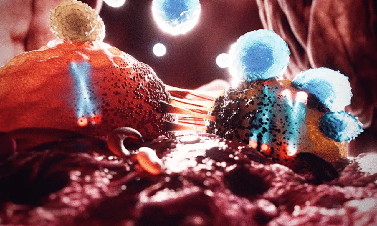 Y chromosomes cancer.jpg