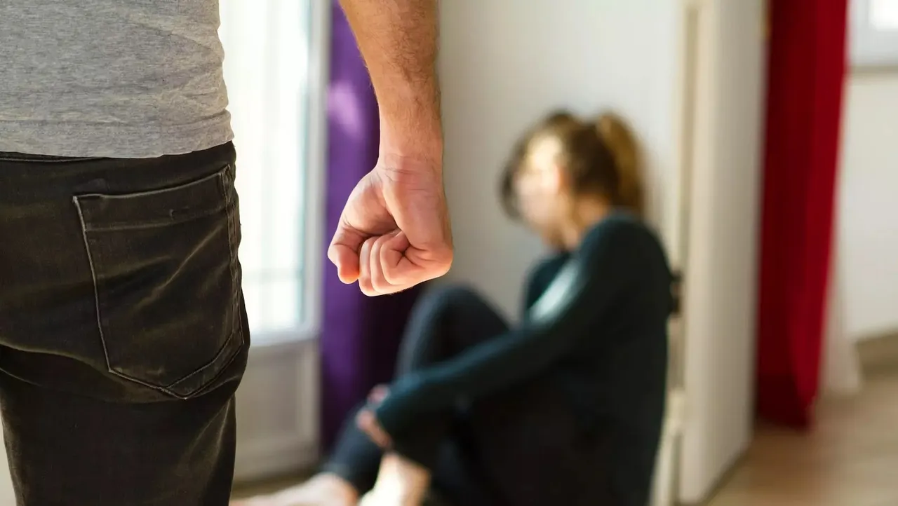 domestic violence Partners.jpg