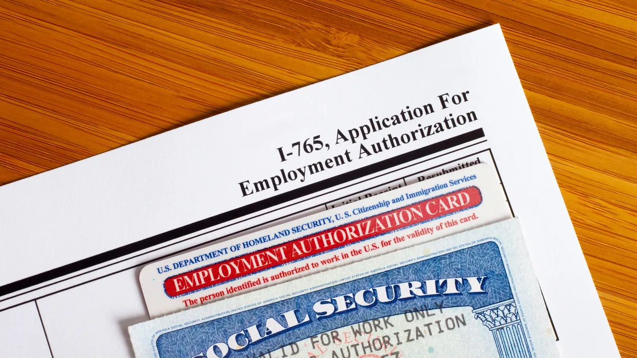 Employment Authorization Card.jpg