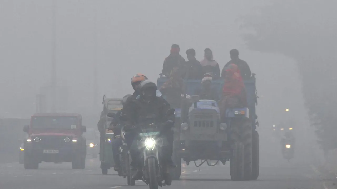 fog dense layer