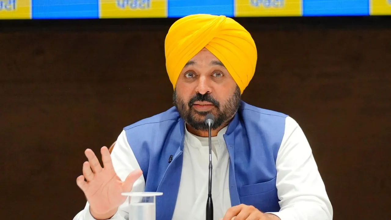 Punjab CM and AAP leader Bhagwant Mann (File image)