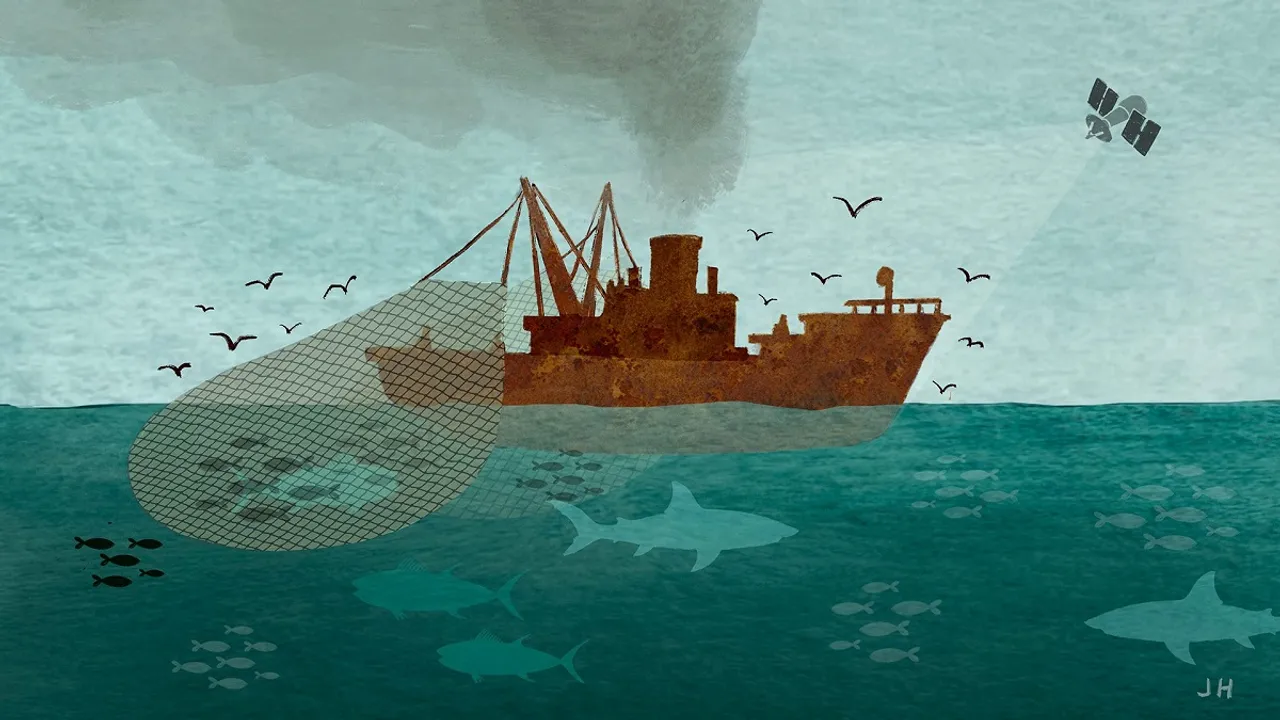 illegal fishing 