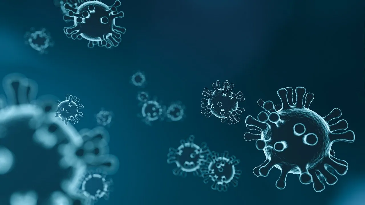 H3N2 Virus Infection Covid Cases Covid-19