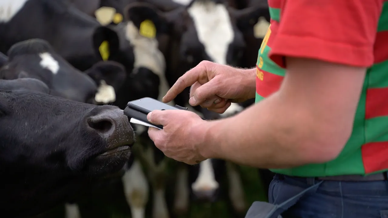technology Livestock.png