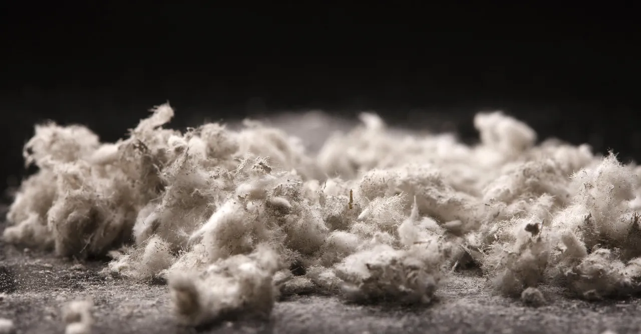 asbestos pollution.jpg