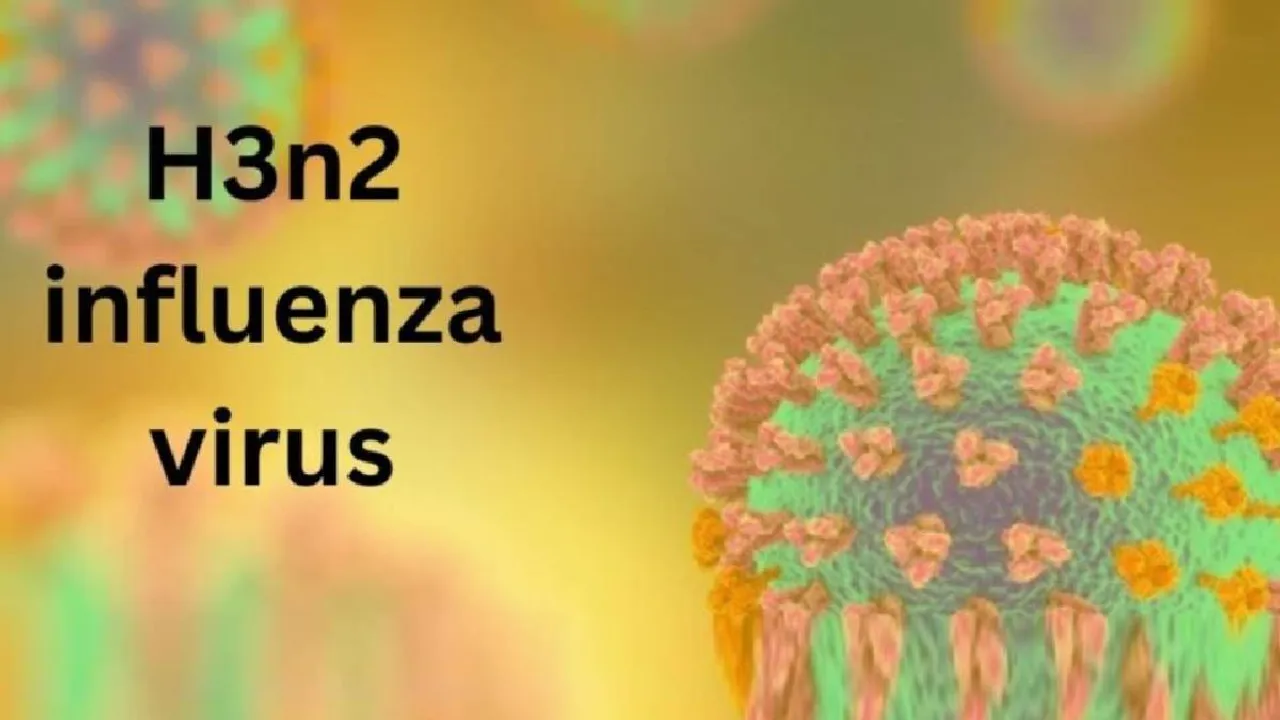 H3N2 Influenza Virus
