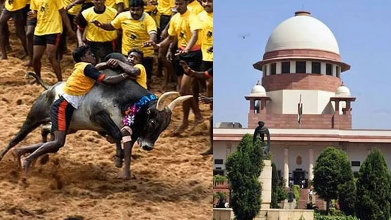 Jallikattu Supreme Court