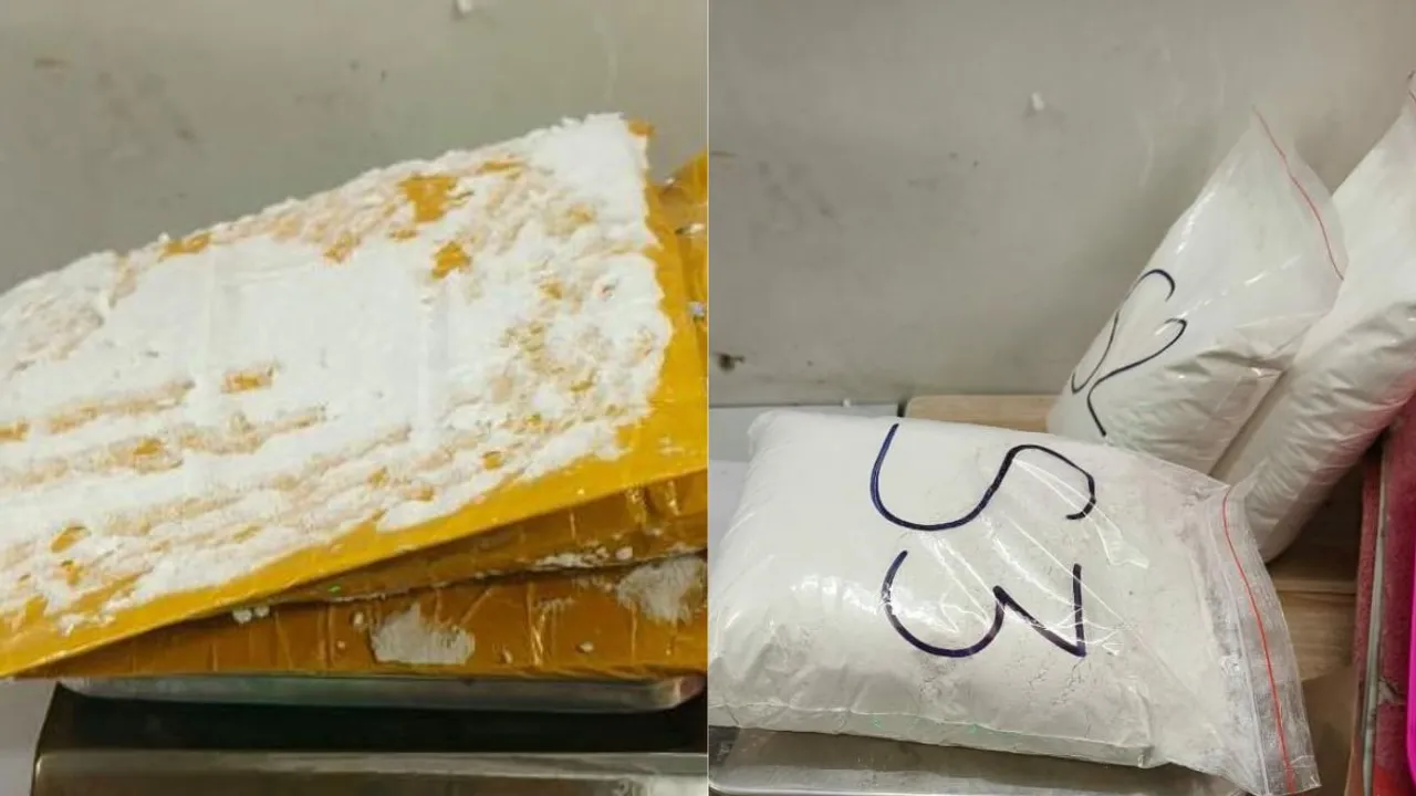  Thai woman was arrested at the international airport here for allegedly trying to smuggle cocaine on Saturday. 