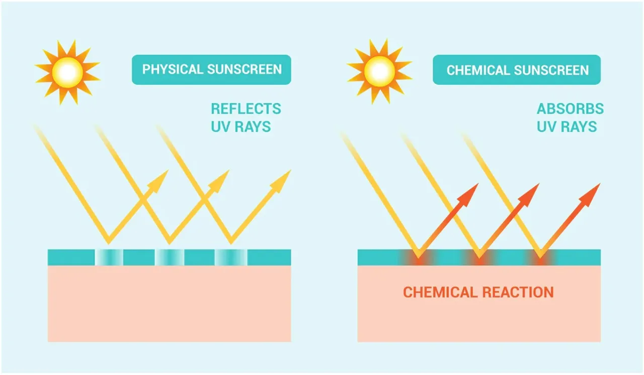 Physical and Chemical Sunscreens