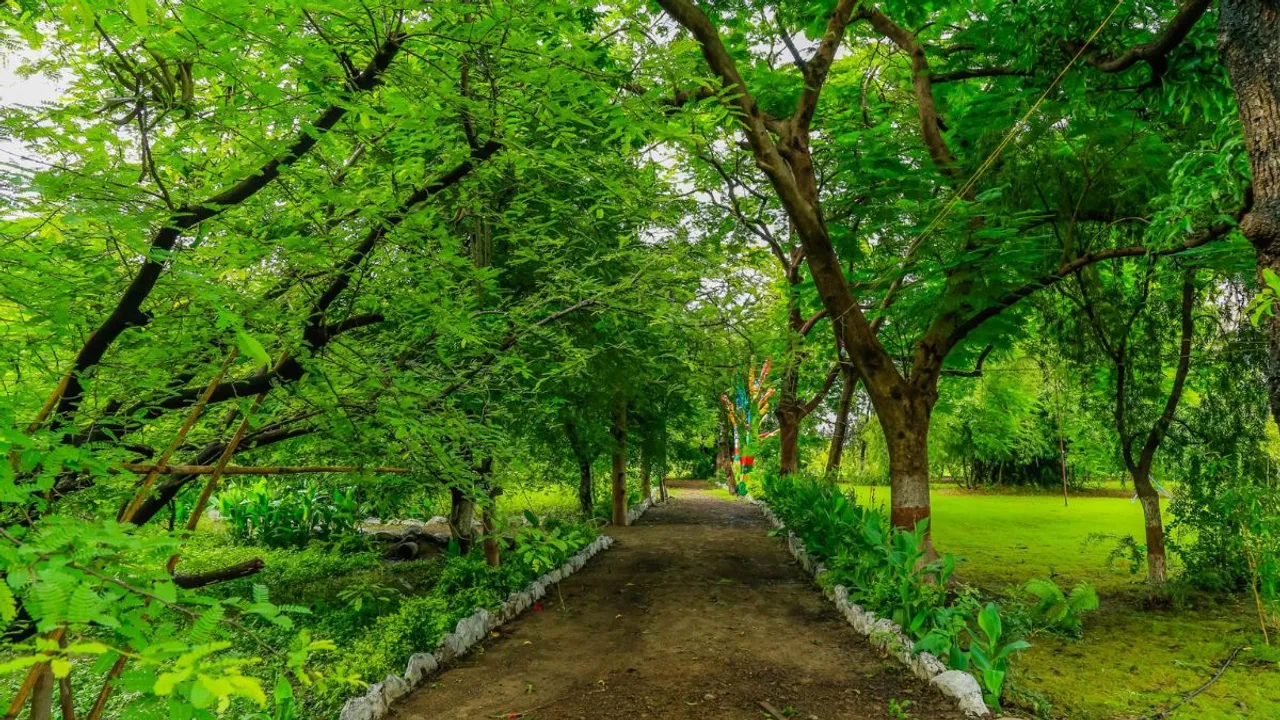 plants trees forest parks