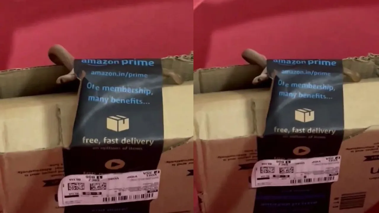 A Bengaluru couple received a snake in their Amazon package on Wednesday