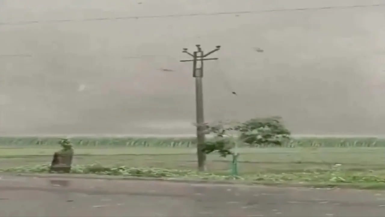 West Bengal Jalpaiguri storm