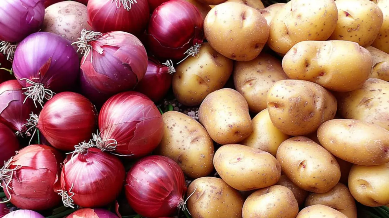 Potato onion