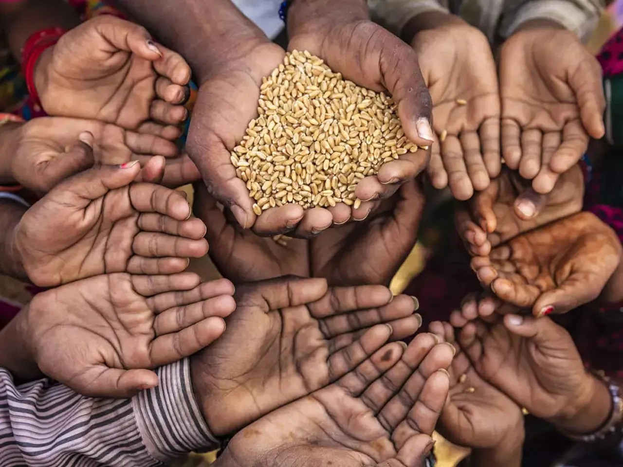 Food grain shortage.jpg