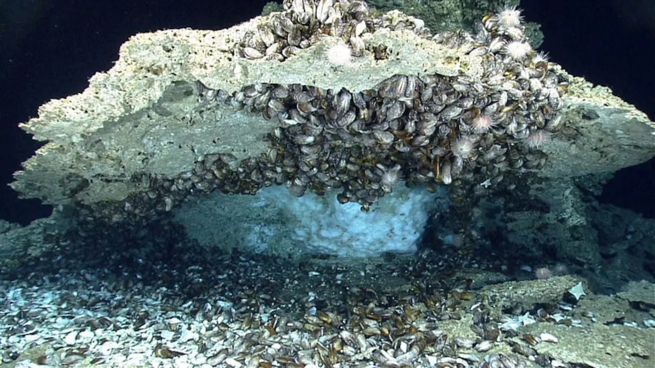 frozen methane from deep ocean waters.jpg