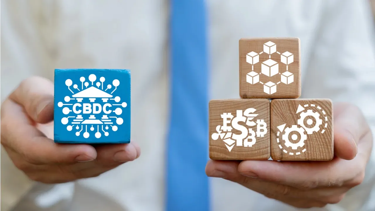 Central Bank Digital Currency