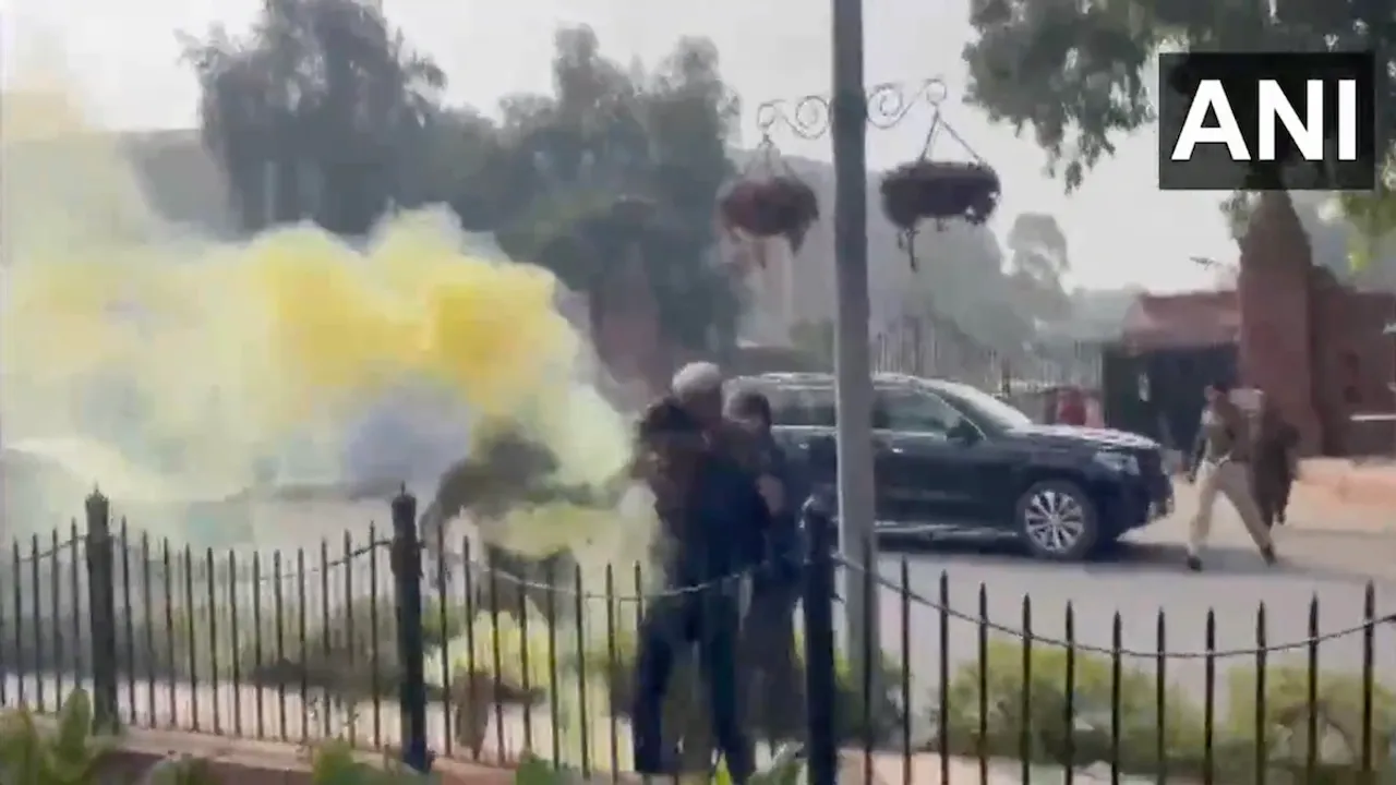 Two detained for using smoke gun outside parliament