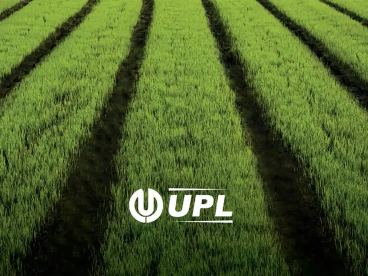 UPL.webp