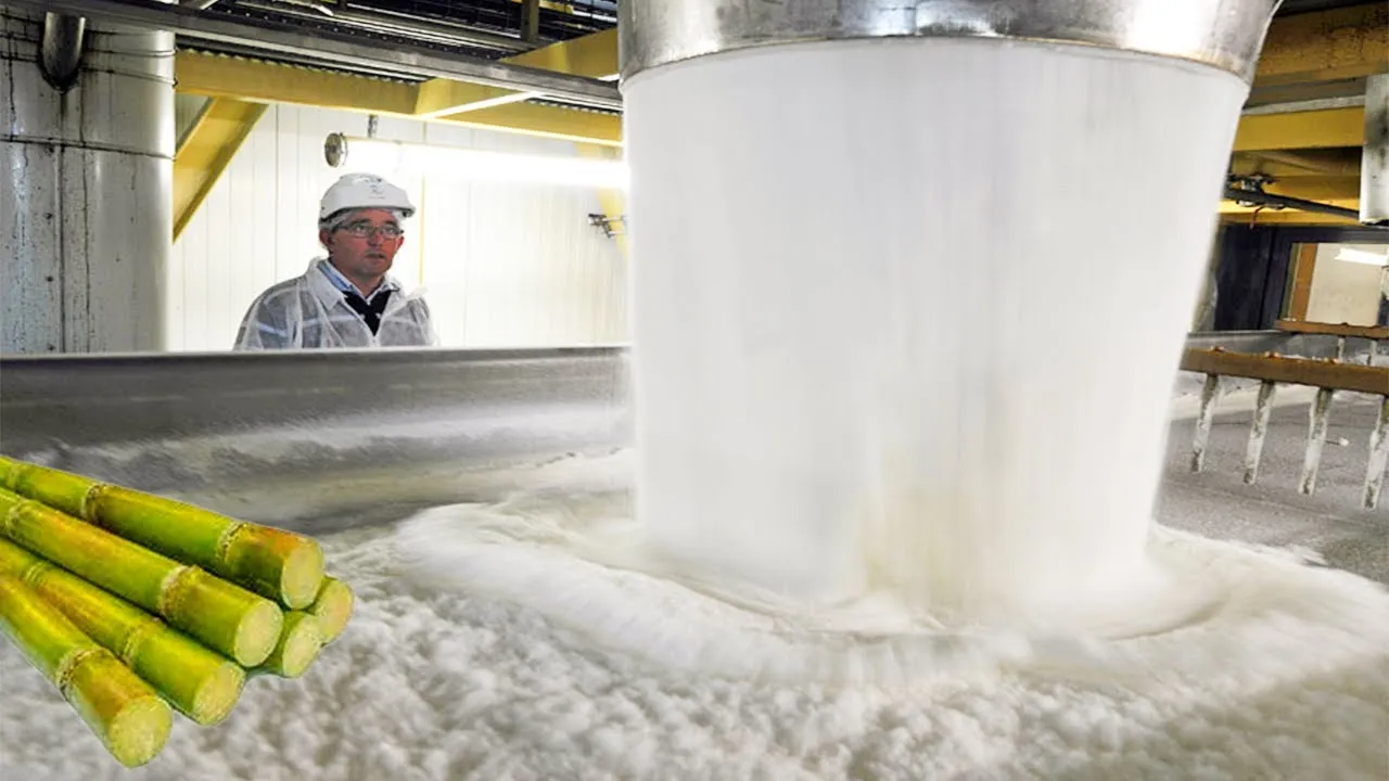 Sugar production