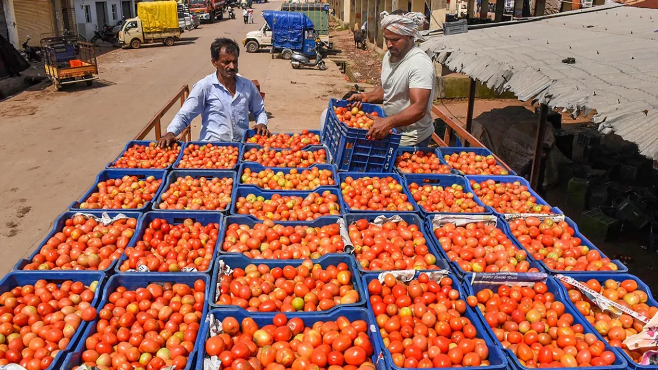 Tomato Price Nepal