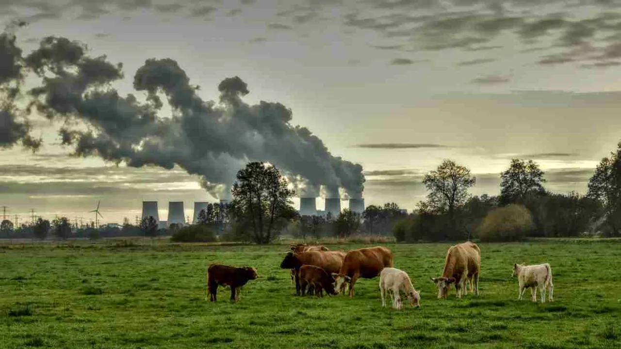 Climate Change species.jpg