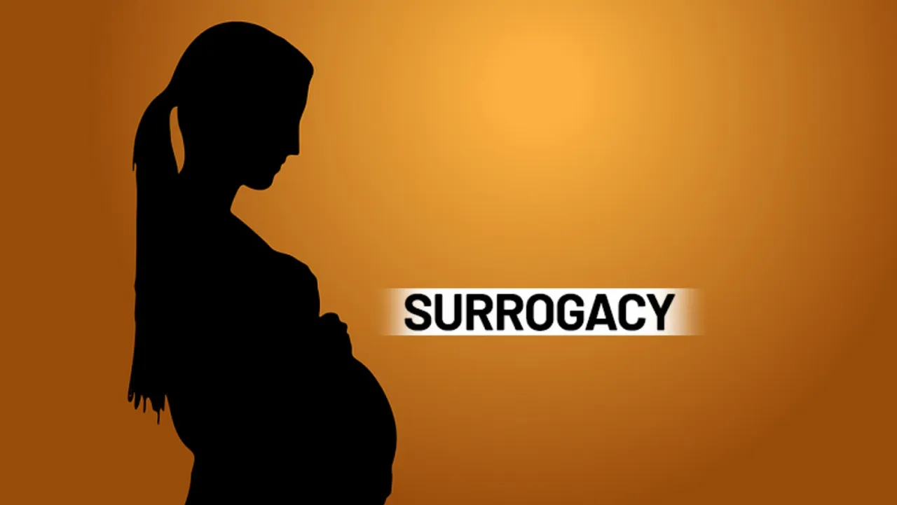 surrogacy law woman.jpg