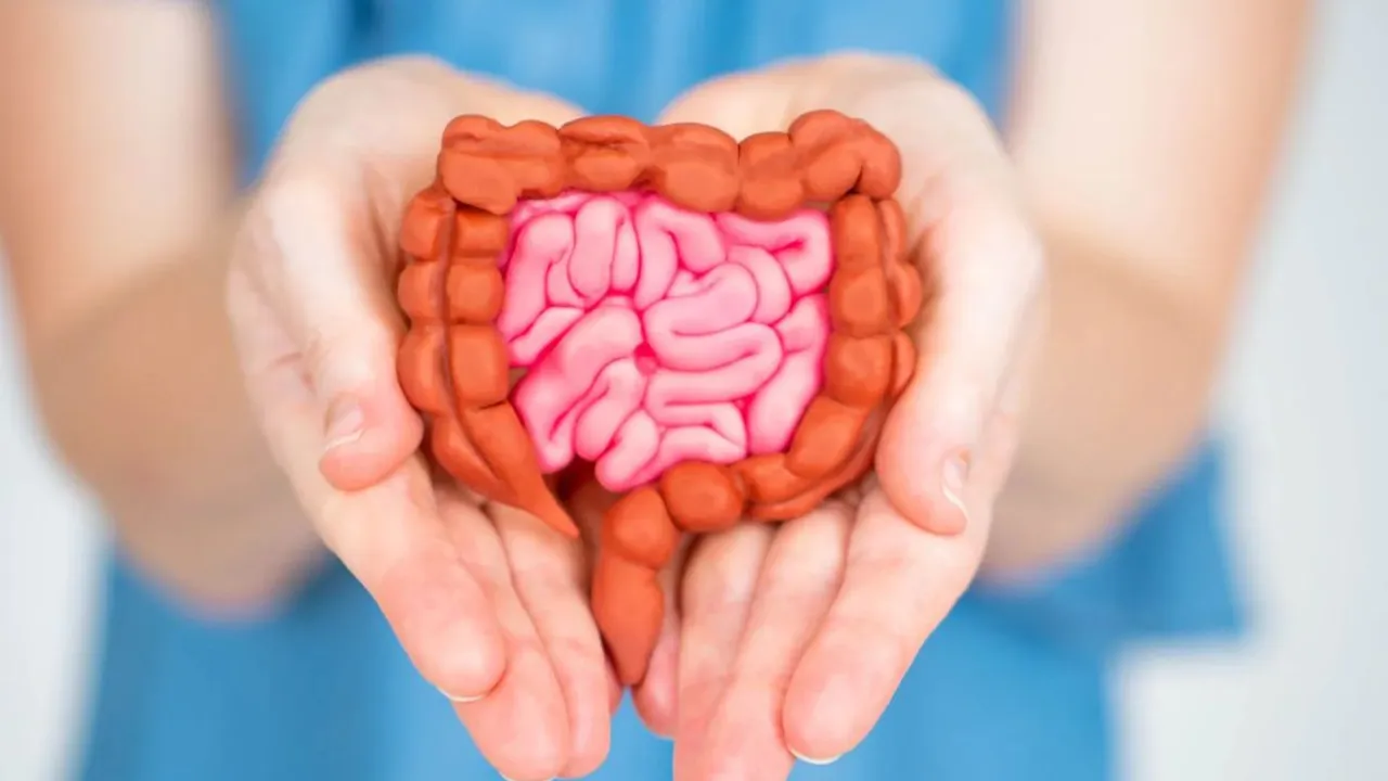 gut health