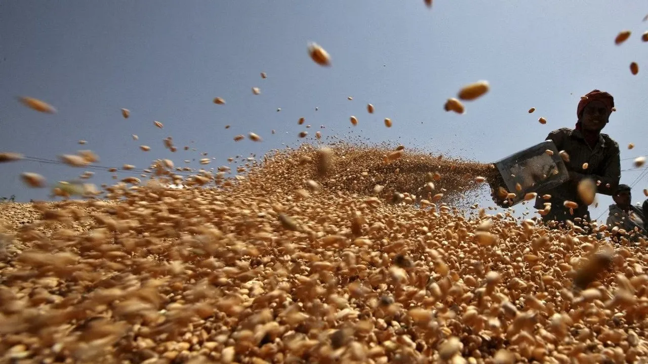 Seeds availability Rabi.jpg