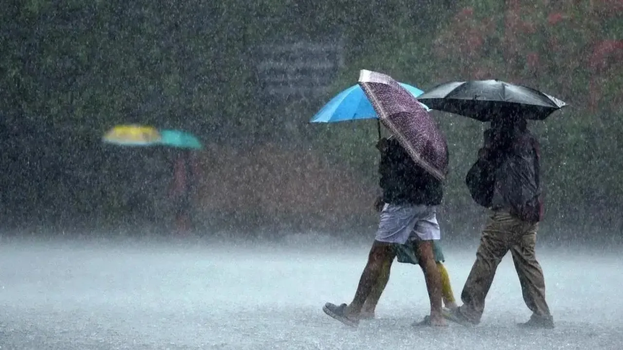 Tamil Nadu rains 09 nov.jpg