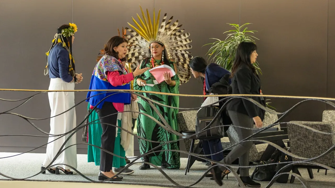 WIPO member states adopted a new treaty on intellectual property, genetic resources, and traditional knowledge