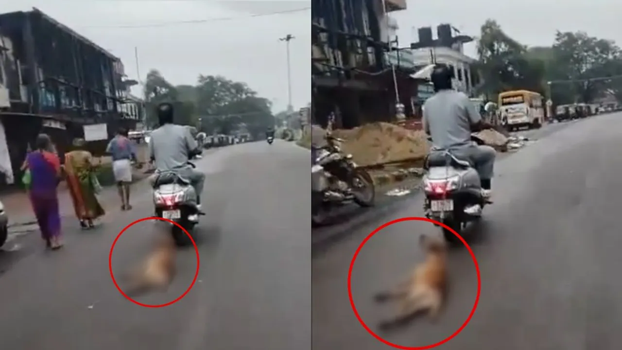 Man dragged a dog