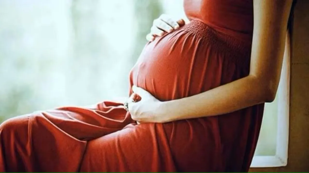 Pregnant woman belly