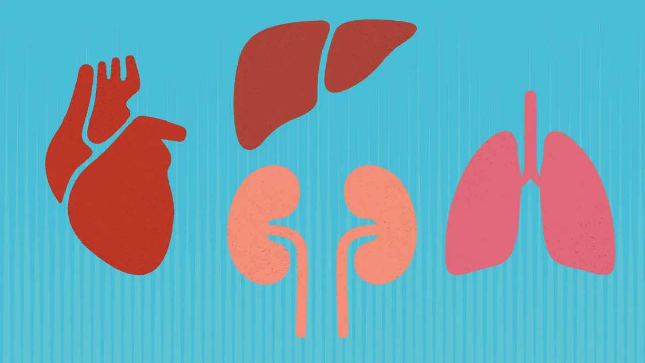 organ transplant Organ Donation