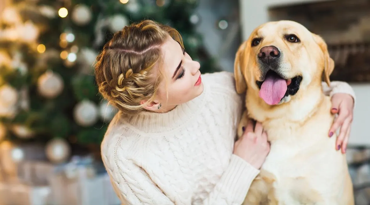 Pet dog with owner