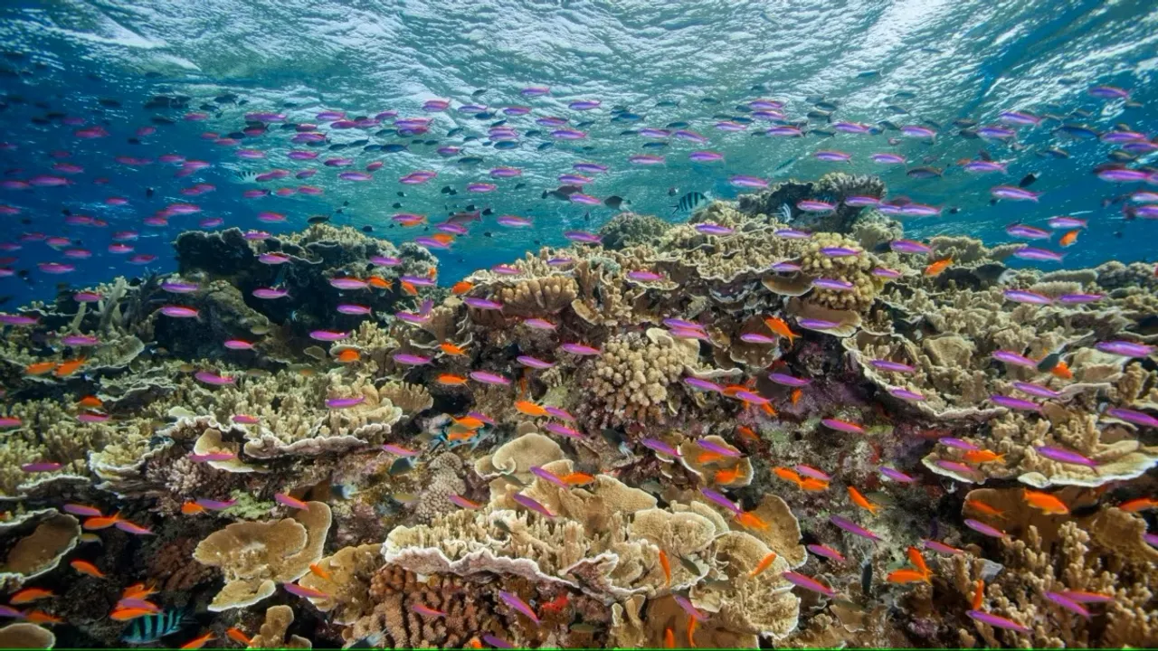 Great Barrier Reef