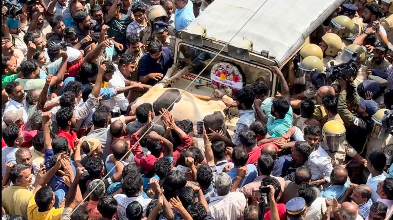People block a forest officials’ vehicle during district-wide hartal at Pulpally, in Wayanad district, Saturday, Feb. 17, 2024. The wide hartal called by the ruling LDF, opposition UDF and BJP on Saturday to seek permanent solutions to the human-animal conflicts in the region was total but turned violent at Pulpally with protesters damaging a Forest department vehicle and tying a cow that was killed in a suspected tiger attack atop it earlier in the day.