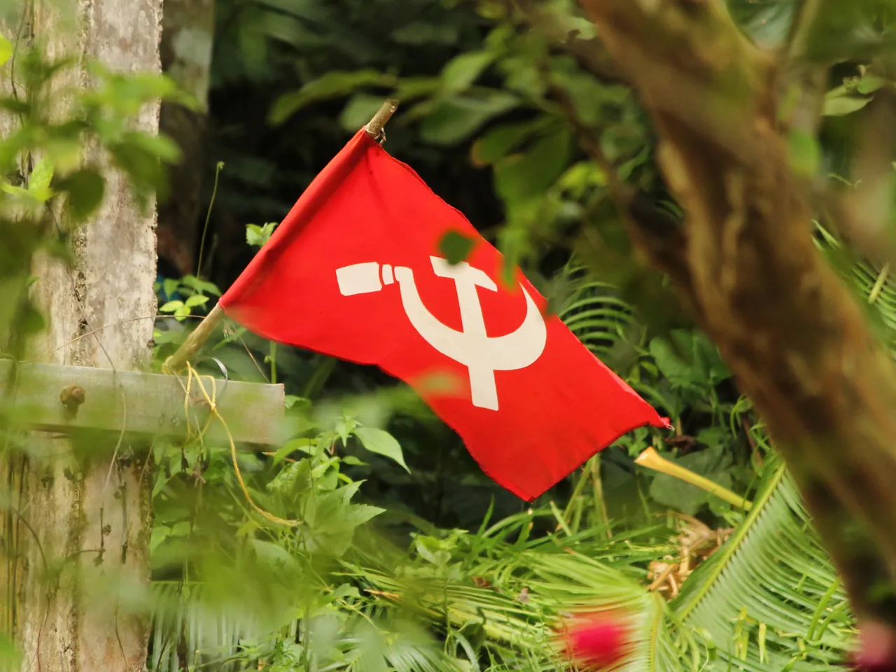 Communist flag.jpg