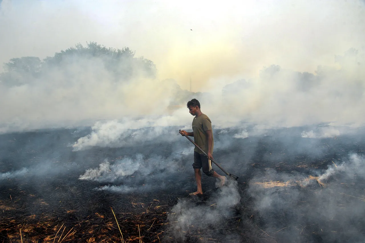 Stubble Burning pollution Smog Delhi Punjab