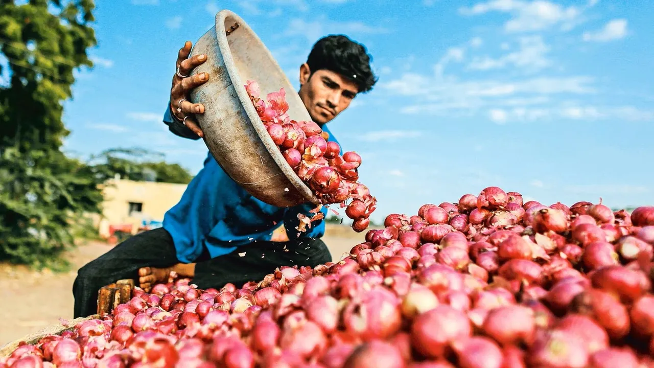 Onion Exports