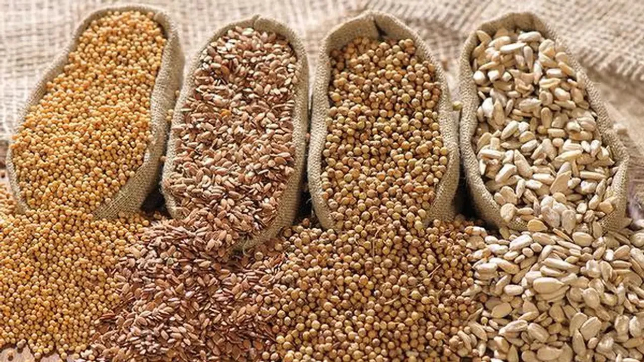 India's oilseed exports