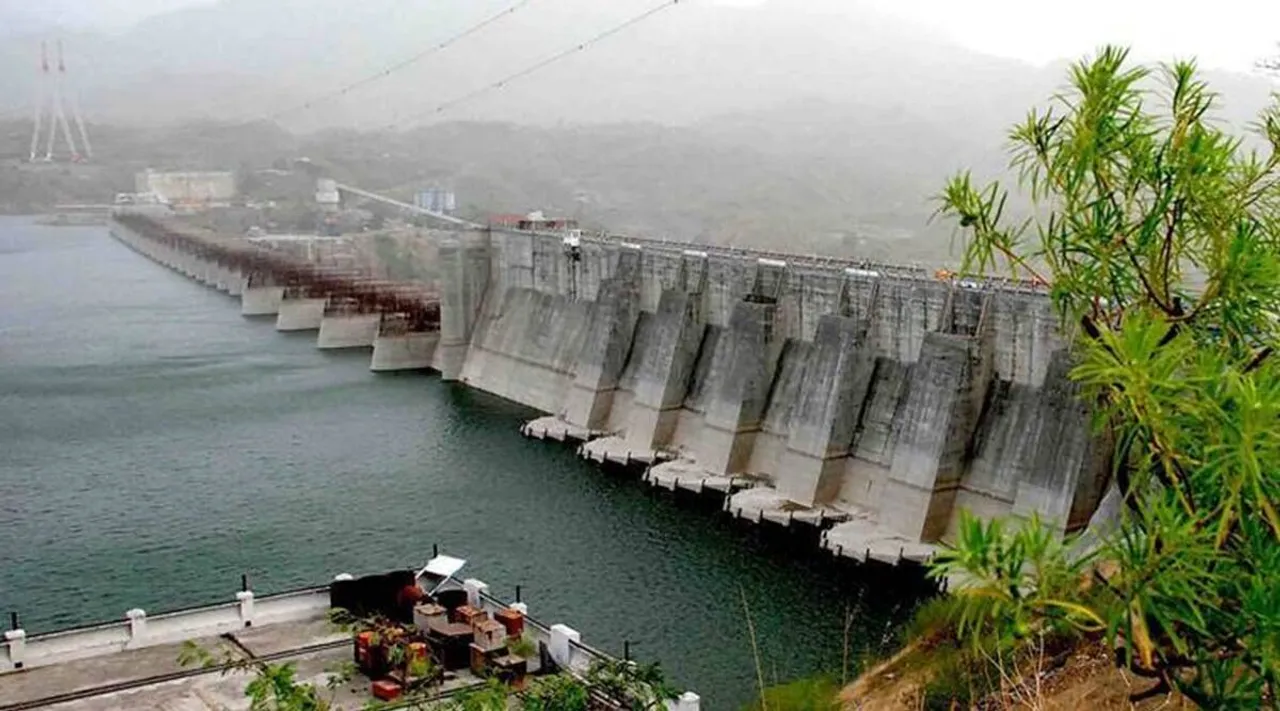 Pong Dam.jpg
