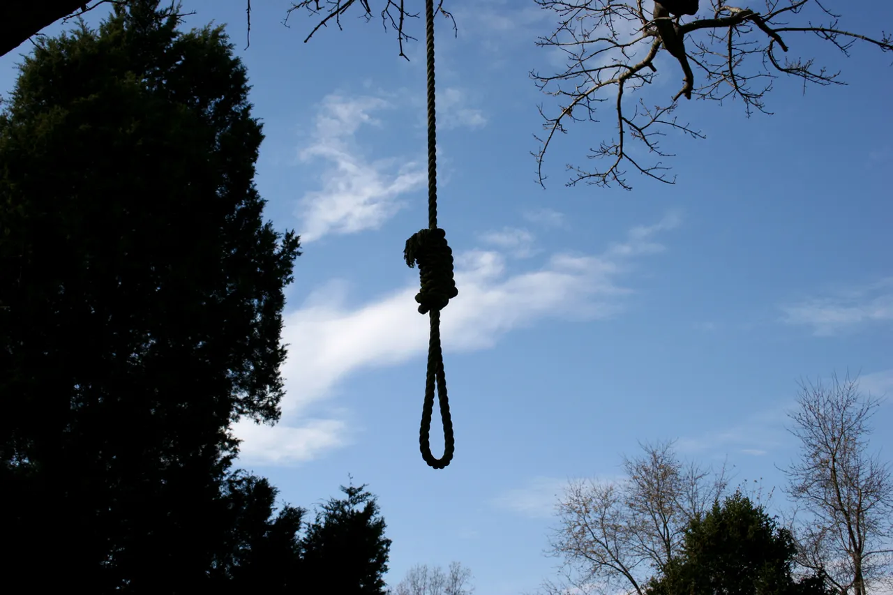Hanging from a tree.jpg