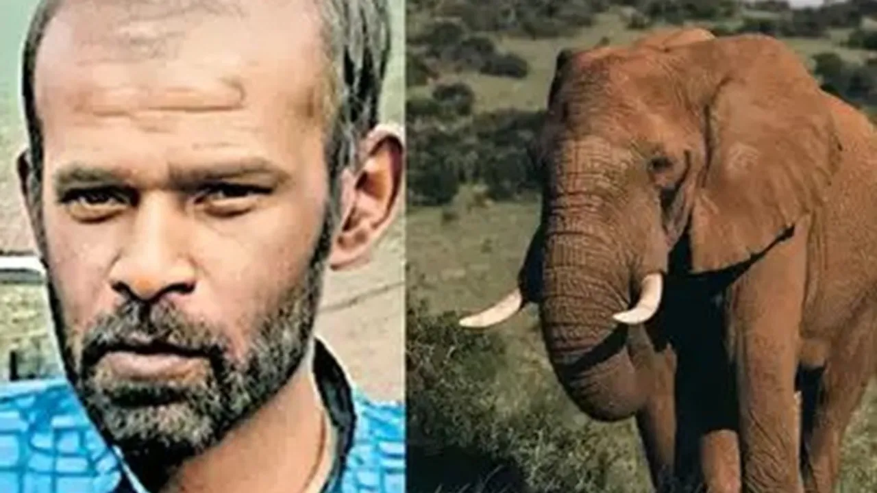 Suresh kumar who was killed by an elephant
