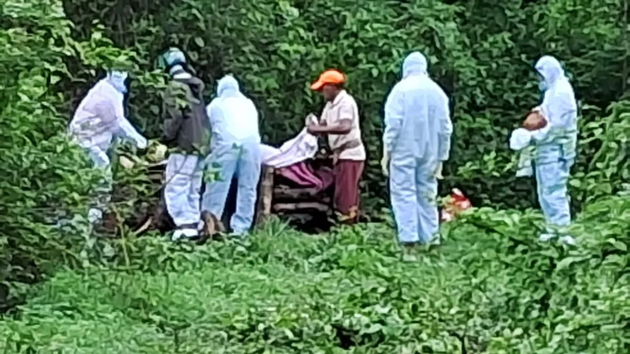 Sindhudurg Bee Attack