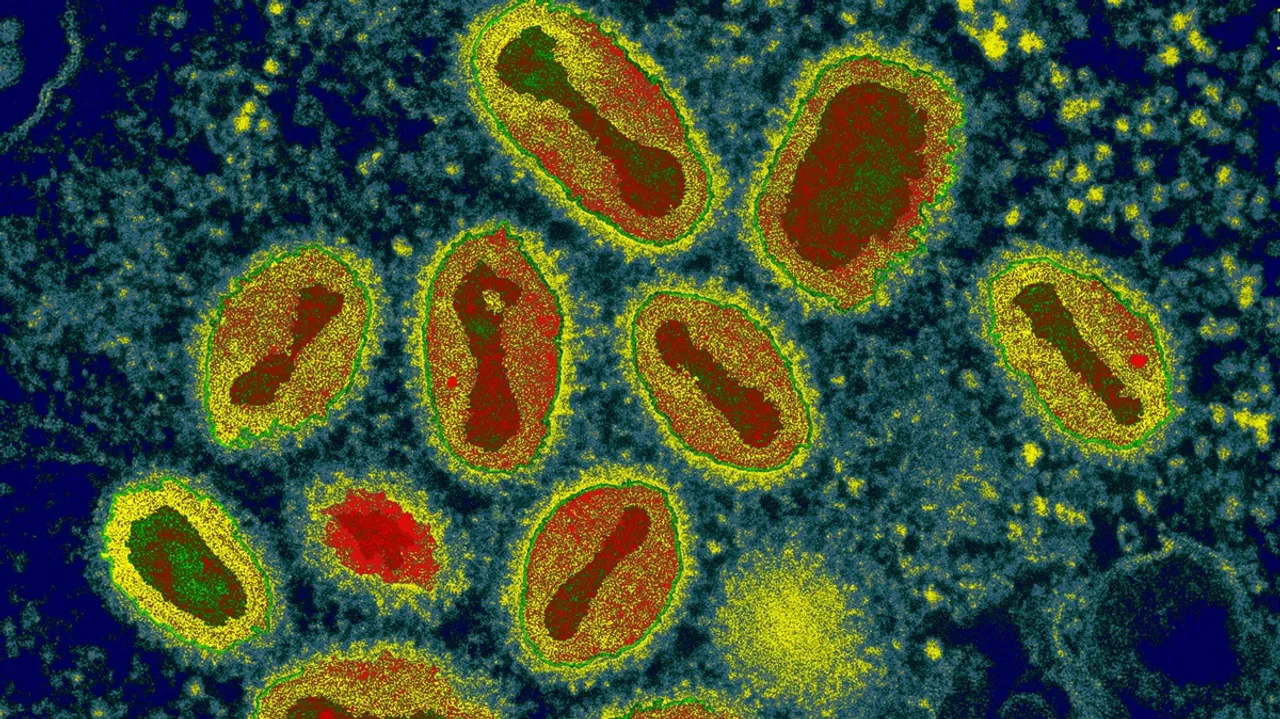 smallpox bacteria
