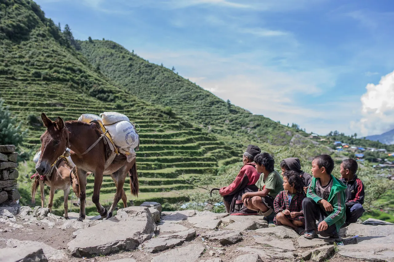 Nepal earthquake