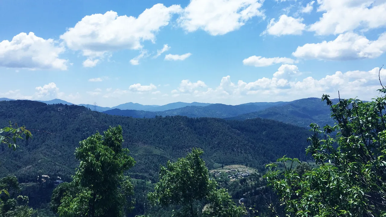 Abbott Mount.jpg